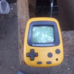 Nintendo