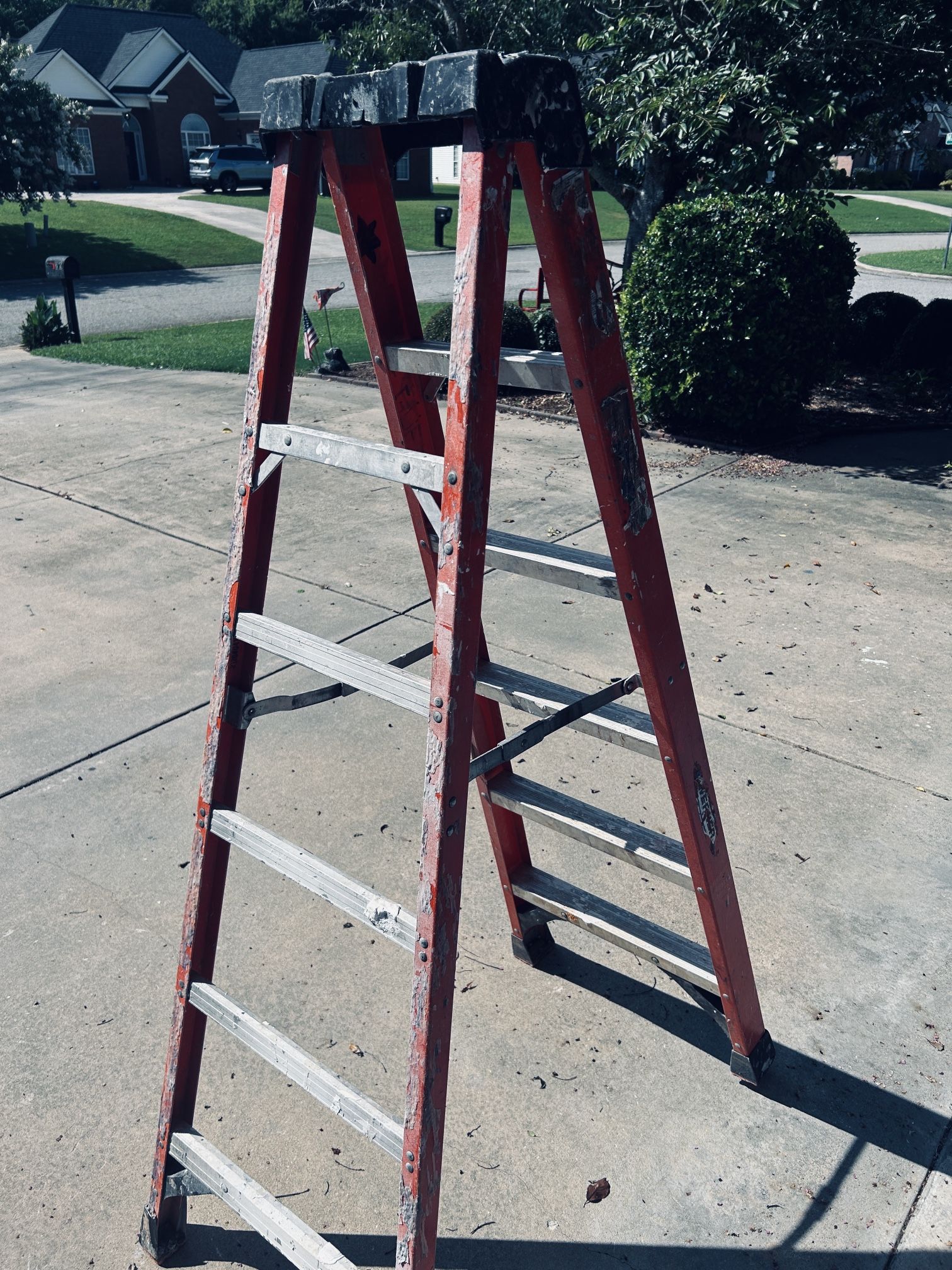 Werner 6’ Foot Ladder