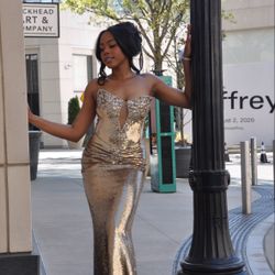 Formal Dress Worn Once