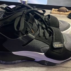 Jordan Zion 2