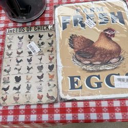 Chicken Signs