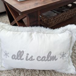 Nice down-filled throw pillow for sofa couch 