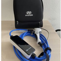 Hyundai Ioniq Sonata Kona Niro Santa Fe Electric Car EV Plug Charger