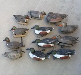 Duck Decoys Set – Mixed Species, 12 Pieces