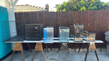 Wire Dog Crates and Glass Fish Tanks Lot
