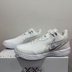 Nike ZM Lebron NXXT Gen AMPD shoe FJ1566-102