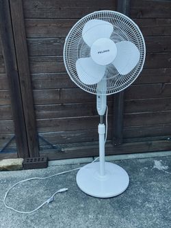 Fan