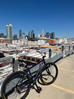 Throne 29er (FRAME TRADES)