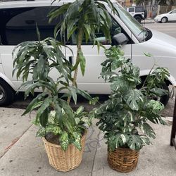 Fake Plants