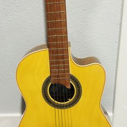 acoustic guitar