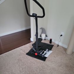 Sunny Smart Stair Stepper