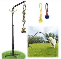 Dog Rope Play Spring Rack
