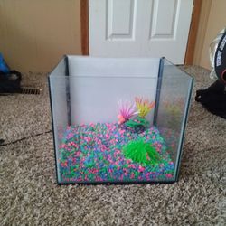 Glo Fish Tank 