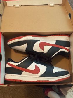 Nike Dunk Low Sz 11 worn 2x