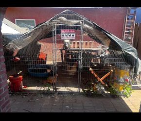 Large chicken cage