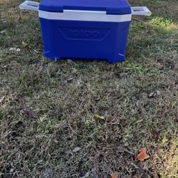 Igloo Cooler