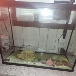 30 Gallon Tank