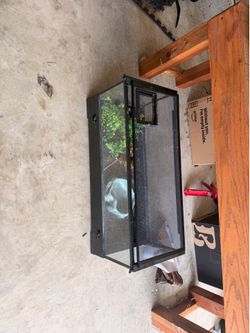 Reptile aquarium