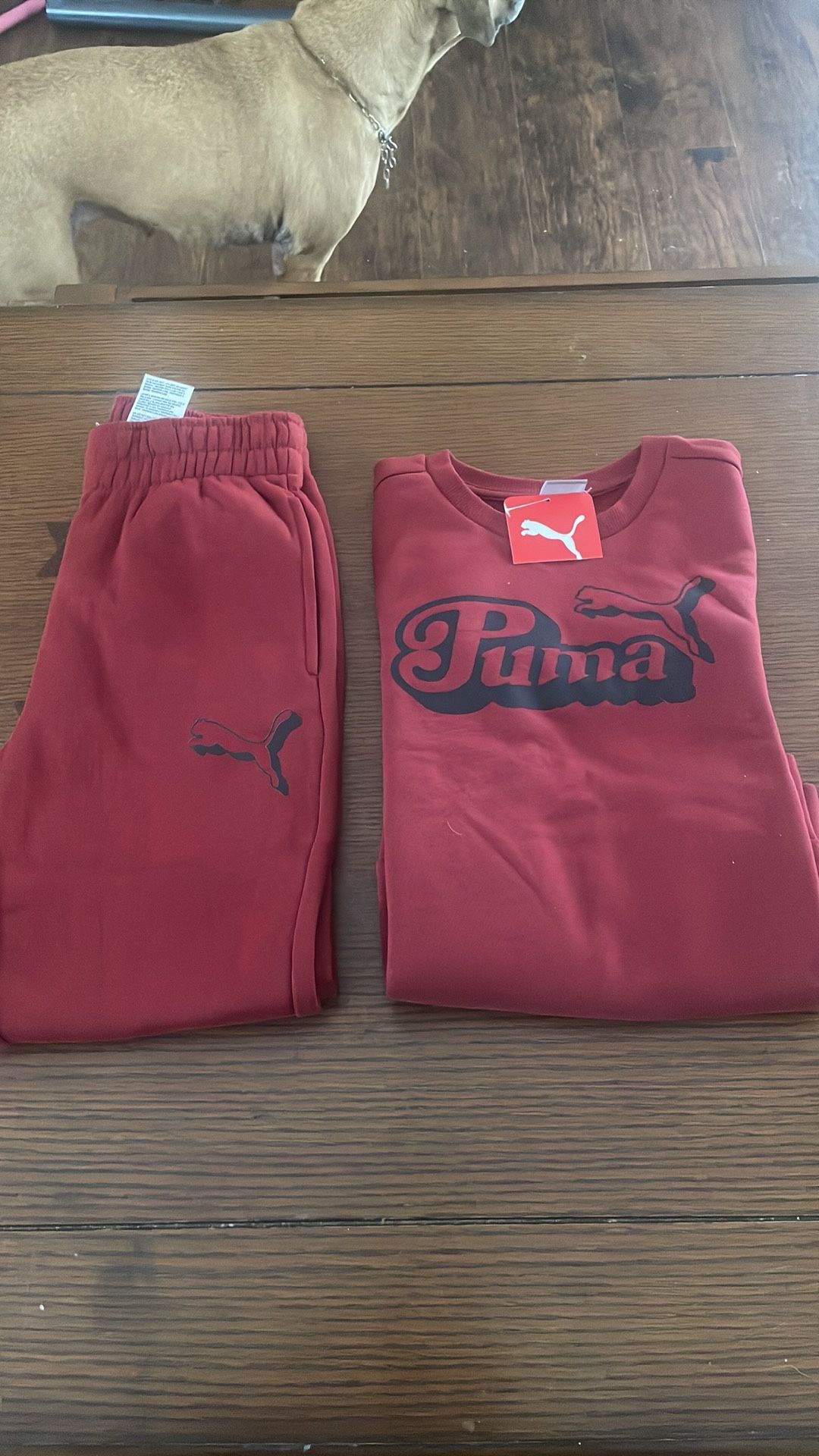 2pcs Cotton Fleece Crew Neck Pull over & Jogger size Small kids NWT