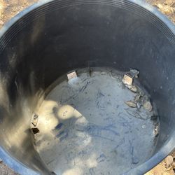 Planting Buckets Big Size