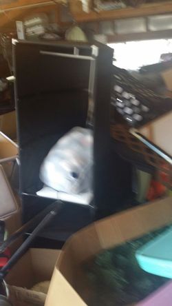 Portable clothes hangar