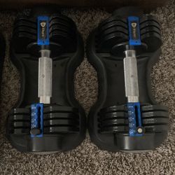 25 Lbs Adjustable Dumbbells