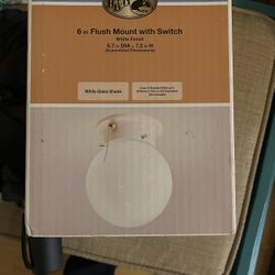 6 In Flush Mount