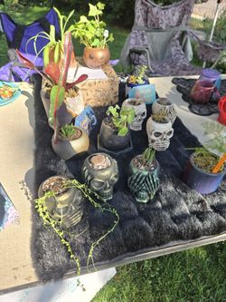 Craft N Plant Sale