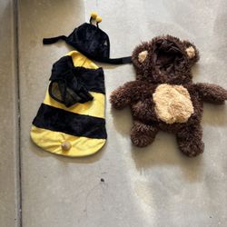 Halloween dog costumes (12) Of Them