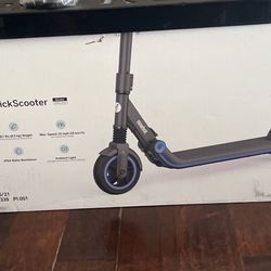Ninebot eKickScooter ZING E10