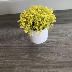 Boho Fake Plants 