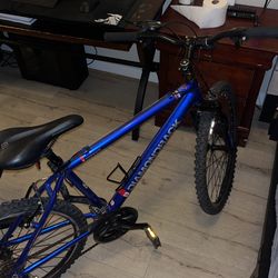Diamond Back Sorrento DB 78 Bike for Sale in San Diego CA OfferUp