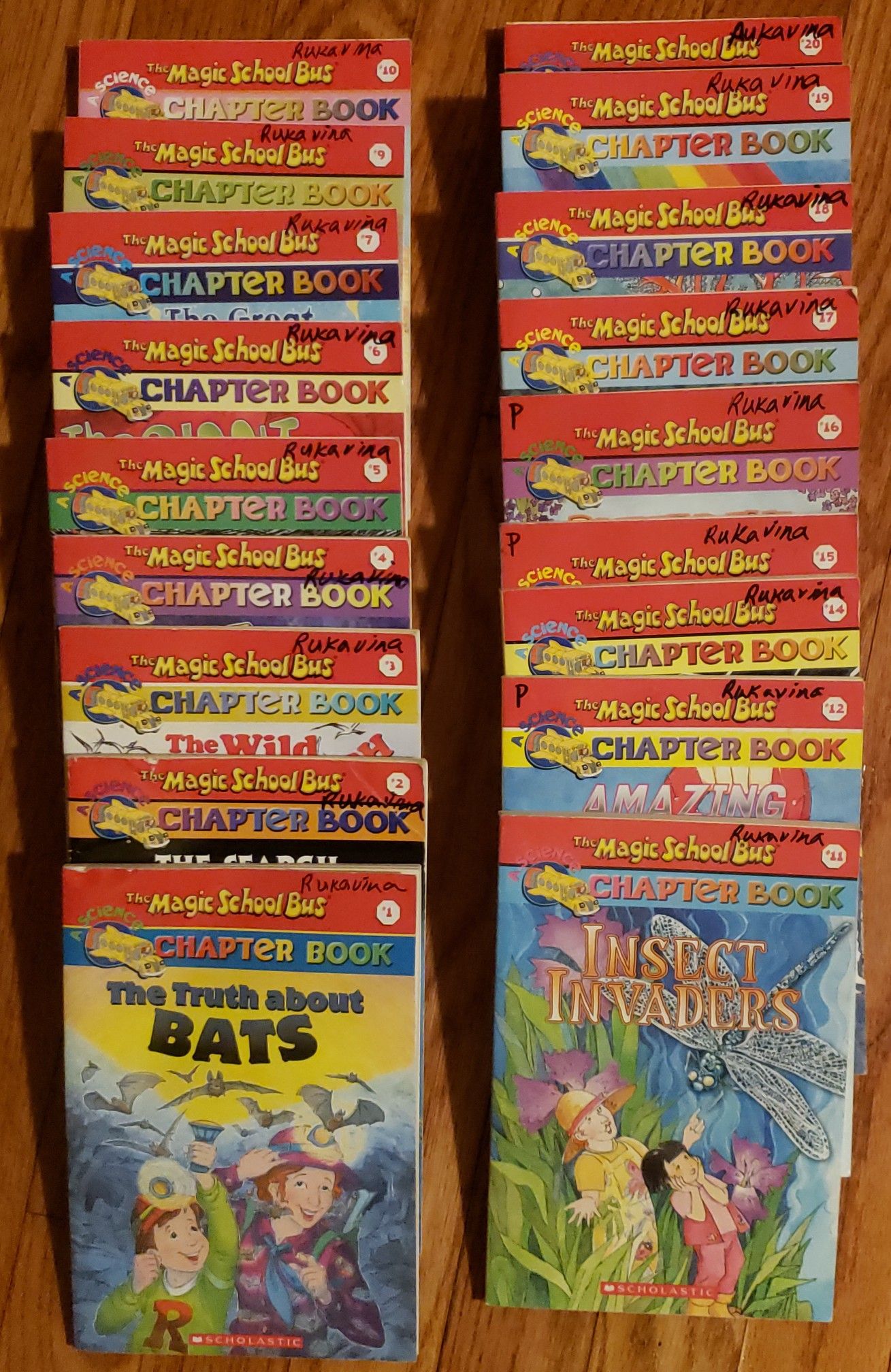 Magic School House chapter books lot of 18