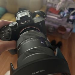 Sony  Alpha a7III + 24-70mm + Sigma 24-70mm f 2.8 Art Lens + More