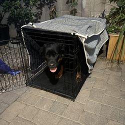 Large Dog Kennel And Cover