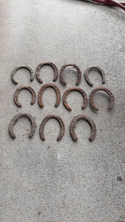 Eleven horse shoes
