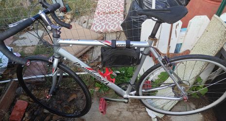 Diamondback Century