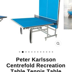 Peter Karlsson Centrefold Recreation Table Tennis Table Bundle