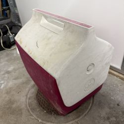 Igloo Cooler