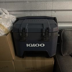 Igloo Heavy Duty 25 QT BMX Hard Cooler