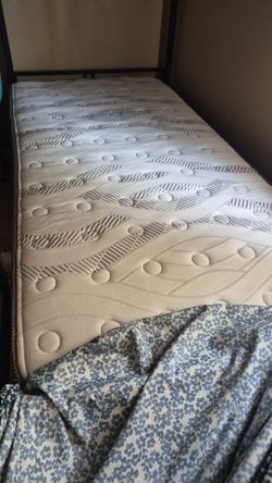Twin bunkbeds