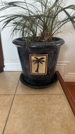 Plant pot with palm tree design