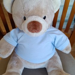 Teddy Bear Stuffed With Hugs And Good Wishes