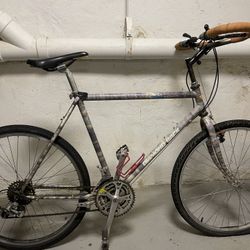 Diamondback Apex Steel Frame