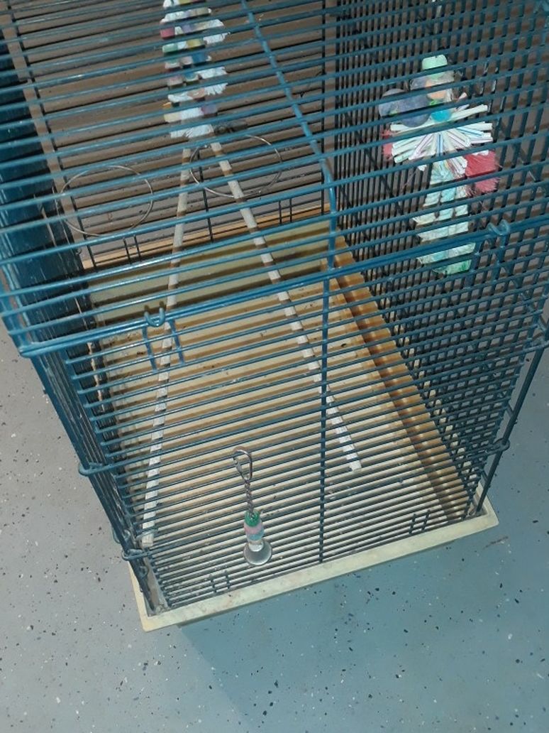 Bird Cage