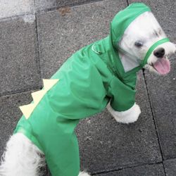 Dog Dinosaur Raincoat Size XXL but Looks More Like Medium (pickup Only) 