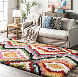 Multicolor 4' x 6' Shag Rug