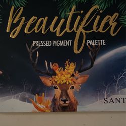 Santee Beautifier Palette