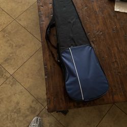 Violin Case