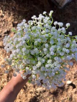 Artificial White Baby's Breath Flower Bunch